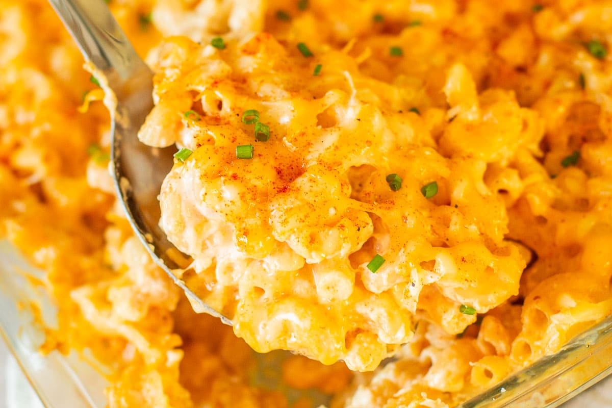 high protein macaroni and cheese topped with fresh chives.