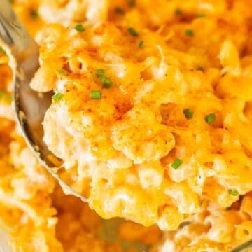 large spoonful of high protein mac and cheese topped with fresh chives.