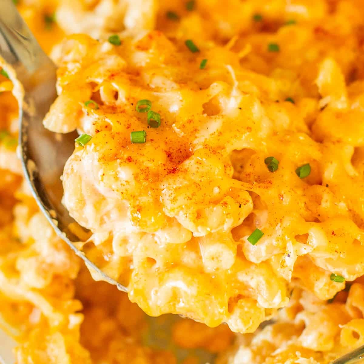 large spoonful of high protein mac and cheese topped with fresh chives.