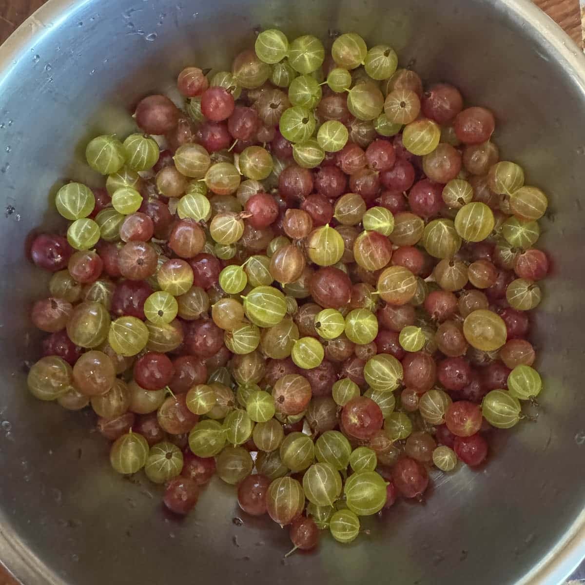 gooseberries in a bowl