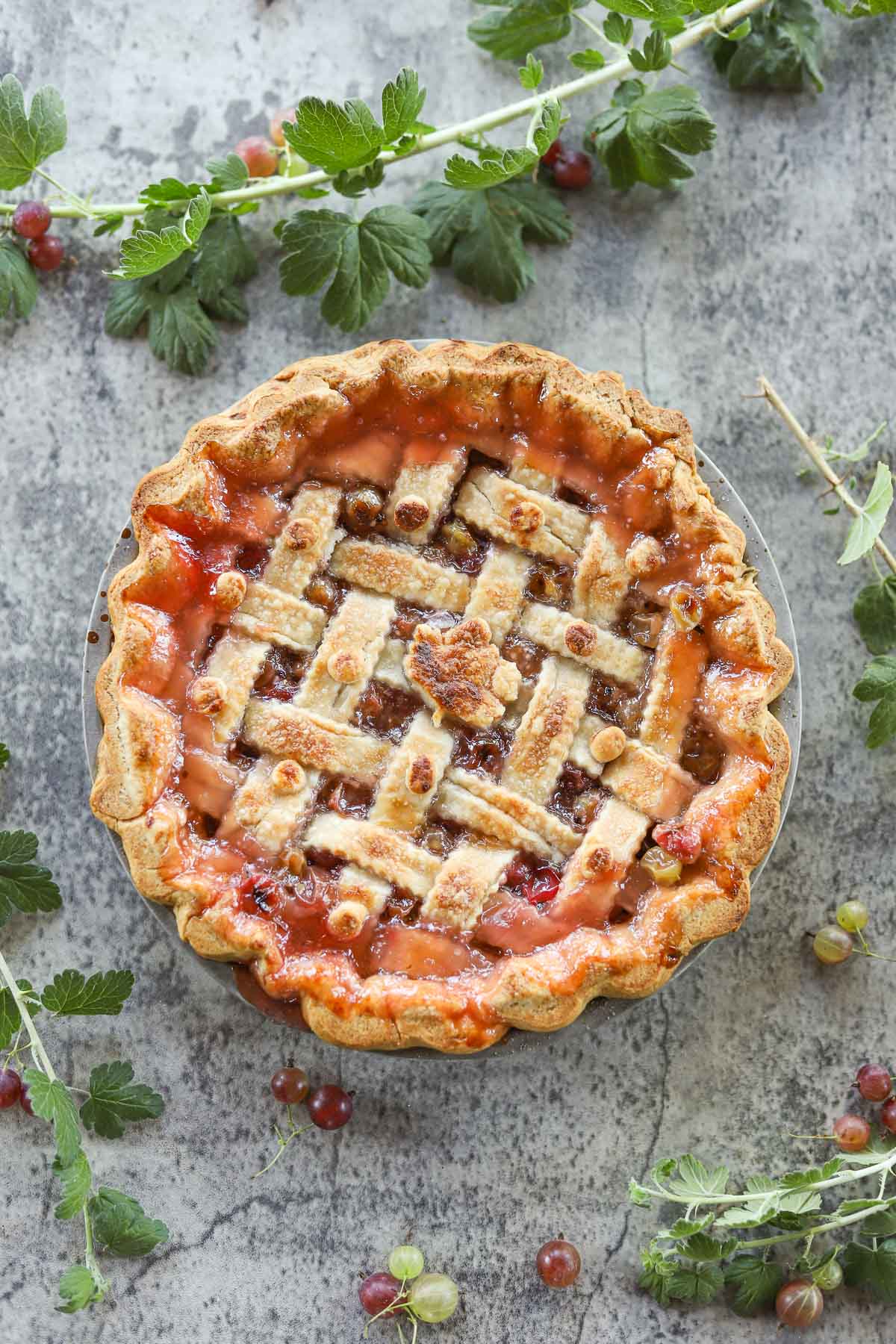gooseberry pie with gooseberry branches and berries around it