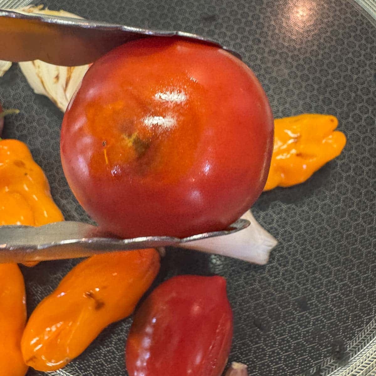 roasted tomato with other roasted veggies under it