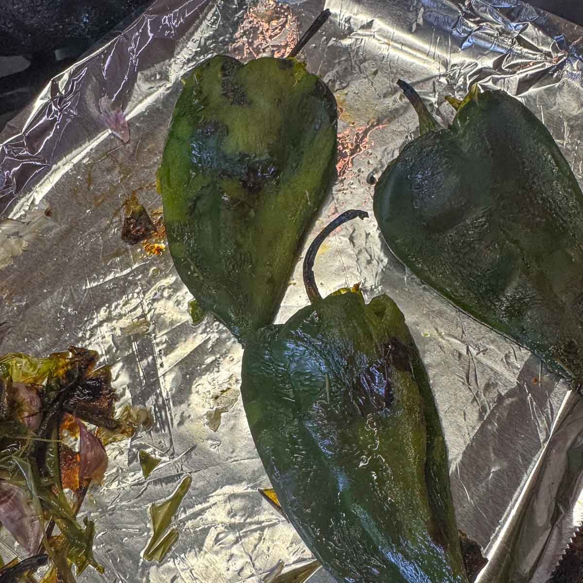 roasted poblano peppers on a pan