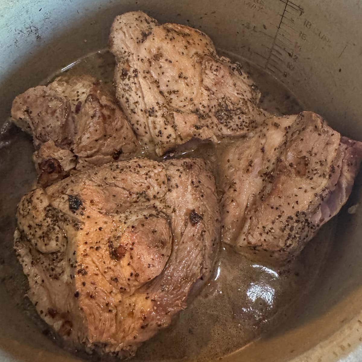 pork in a pot