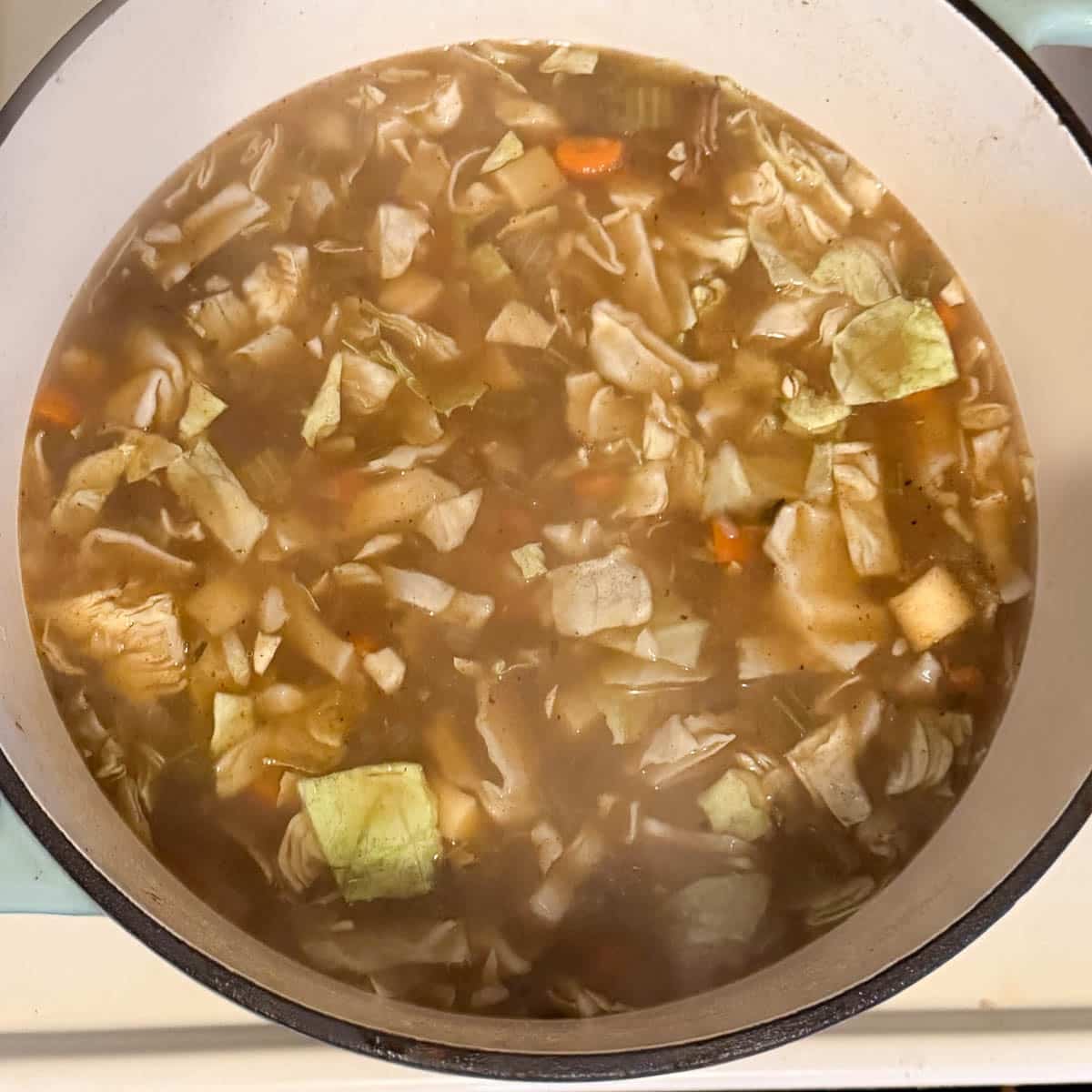 cabbage added to soup.