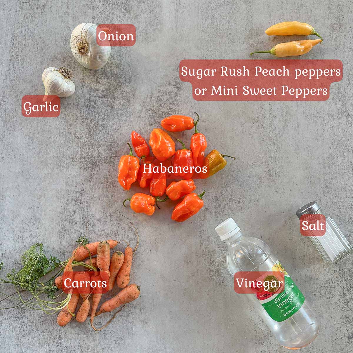habanero hot sauce recipe ingredients including habaneros, garlic, onion, and vinegar.